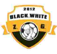 主队